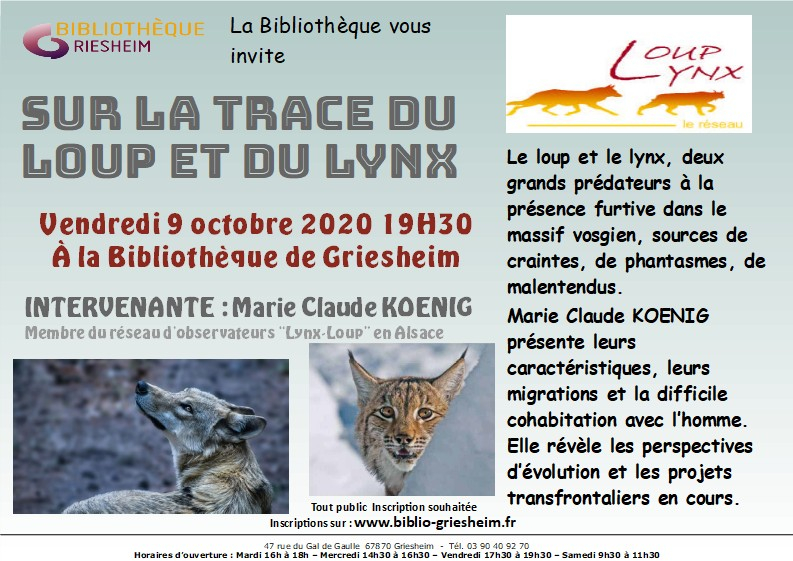 affiche_loup_lynx